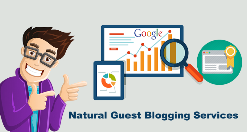 What Are Significance Of Professional Guest Posting Services?