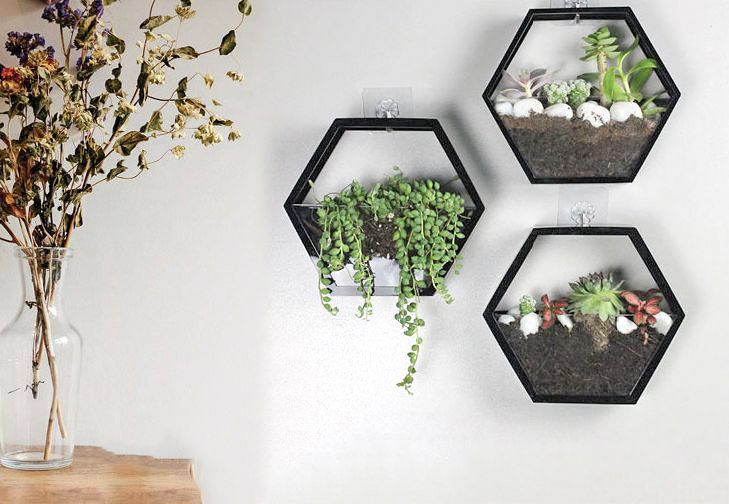 Some Care Tips for Wall Hanging Planters